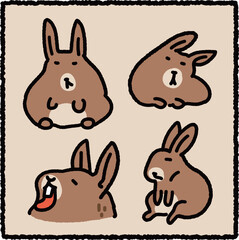 Hand-Drawn Mountain Viscacha Illustration Set, Andean Highland Rodent Educational Cartoon