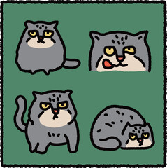 Hand-Drawn Pallas&rsquo;s Cat (Manul) Illustration Set, Central Asian Wild Cat Educational Cartoon