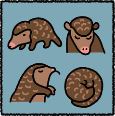 Hand-Drawn Pangolin Illustration Set, Scaly Mammal Wildlife Conservation Educational Cartoon