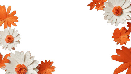 Orange and white daisy-like flowers arranged in a border
