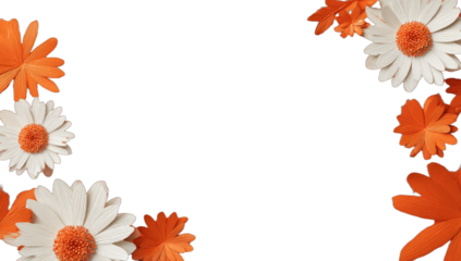 Orange and white daisy-like flowers arranged in a border