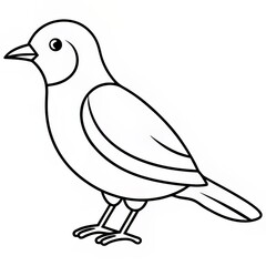 bird pet outline vector drawing