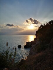 Sunset over the sea with reeds in foreground. Peaceful nature beauty. Relaxing athmosphere