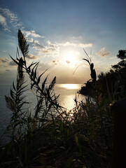 Sunset over the sea with reeds in foreground. Peaceful nature beauty. Relaxing athmosphere