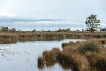 The Scenic views of Kızılırmak Delta Bird Sanctuary, which is a vast delta teeming with thousands of bird species and natural wildlife, offering a serene escape for nature lovers in Bafra, Samsun