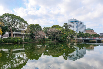 佐賀城北濠に沿って植えられた木々