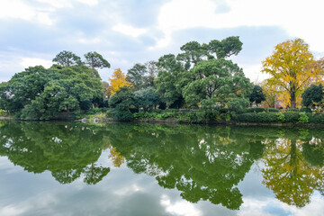 佐賀城北濠に沿って植えられた木々