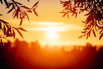 blurred sun is rising in costa del sol spain