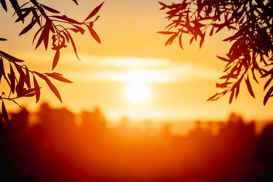 blurred sun is rising in costa del sol spain
