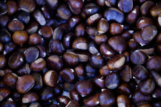 Sweet chestnuts at weekly outdoor market in Wolfratshausen Upper Bavaria