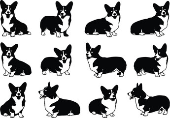 Obraz premium Black and white illustrations of multiple corgi dogs in different sitting positions and poses