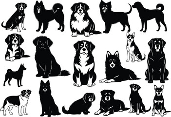 Fototapeta premium Collection of various dog breeds sitting and standing in different poses