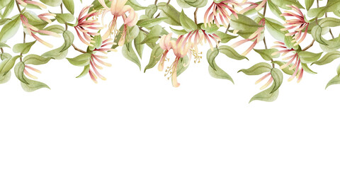 Spring garden flowers watercolor seamless border. Honeysuckle vine branch repeat upper banner. Pastel green, beige and pink climbing flowers with liana plant for summer blooming floral designs