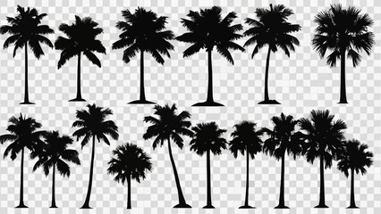 palm tree silhouettes © Wahyubudiyono