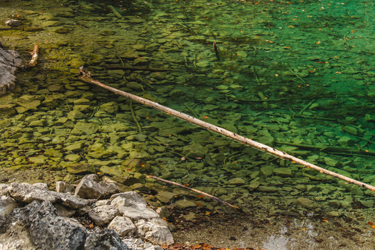 View of the clear, emerald water revealing a rocky bed and fallen logs in the serene Eibsee lake, Garmisch-Partenkirchen, Bavaria, Germany.