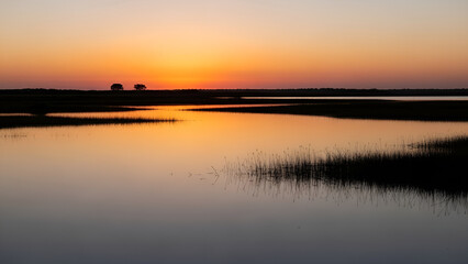 Obraz premium Serene Wetland Landscape at Sunset