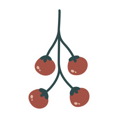 Tomato Illustration Vine Vegetable