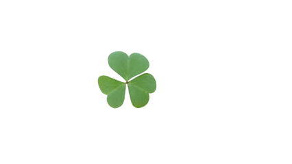Vibrant Green Three-Leaf Clover Symbolizing Luck, Nature, and St. Patrick's Day on transparent Background