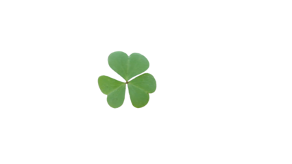 Vibrant Green Three-Leaf Clover Symbolizing Luck, Nature, and St. Patrick's Day on transparent Background