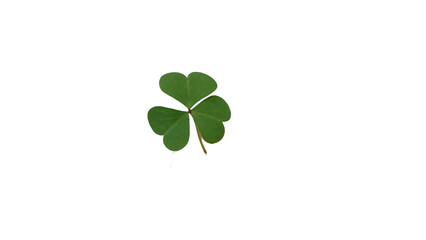 Vibrant Green Three-Leaf Clover Symbolizing Luck, Nature, and St. Patrick's Day on transparent Background