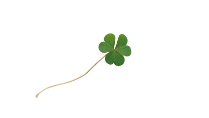 Vibrant Green Three-Leaf Clover Symbolizing Luck, Nature, and St. Patrick's Day on transparent Background