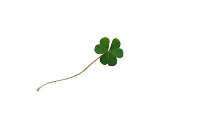 Vibrant Green Three-Leaf Clover Symbolizing Luck, Nature, and St. Patrick's Day on transparent Background
