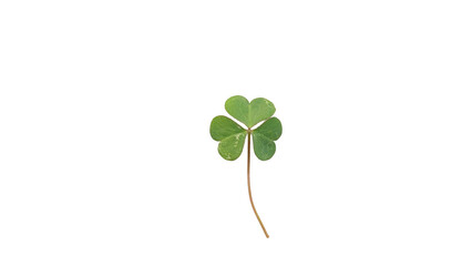 Vibrant Green Three-Leaf Clover Symbolizing Luck, Nature, and St. Patrick's Day on transparent Background