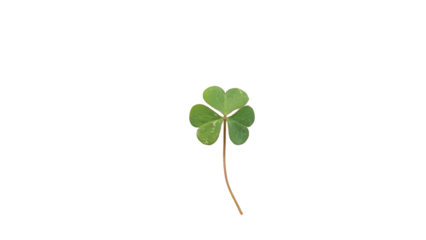 Vibrant Green Three-Leaf Clover Symbolizing Luck, Nature, and St. Patrick's Day on transparent Background