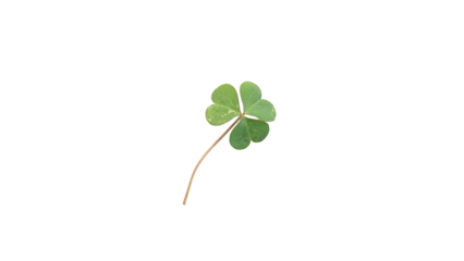 Vibrant Green Three-Leaf Clover Symbolizing Luck, Nature, and St. Patrick's Day on transparent Background,PNG.