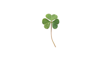 Vibrant Green Three-Leaf Clover Symbolizing Luck, Nature, and St. Patrick's Day on, transparent Background
