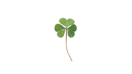 Vibrant Green Three-Leaf Clover Symbolizing Luck, Nature, and St. Patrick's Day on, transparent Background
