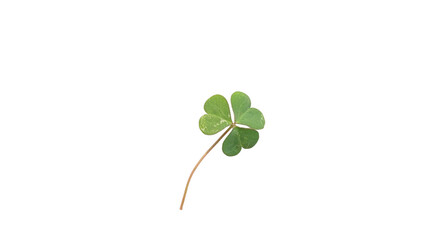 St. Patricks leaf, Vibrant Green Three-Leaf Clover Symbolizing Luck, Nature, and St. Patrick's Day on transparent Background