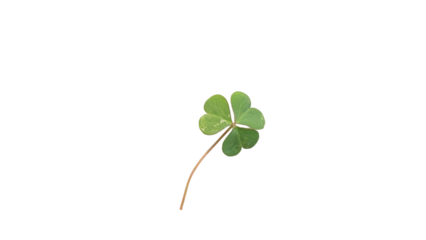 St. Patricks leaf, Vibrant Green Three-Leaf Clover Symbolizing Luck, Nature, and St. Patrick's Day on transparent Background