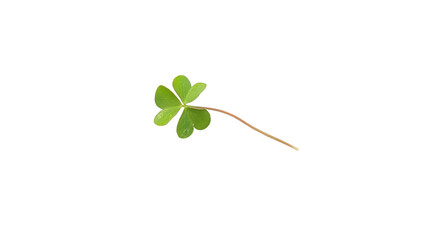 St. Patricks leaf, Vibrant Green Three-Leaf Clover Symbolizing Luck, Nature, and St. Patrick's Day on transparent Background