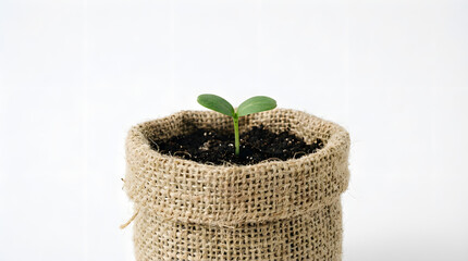  a small, green seedling growing in a rustic, burlap sack against a plain white background.
