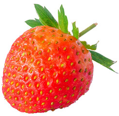 Upright Whole Round Strawberry with Fresh Green Leaves Isolated in Transparent Background