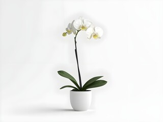 orchid flower in a pot 3d rendering isolated on white background cartoon plastic style icon
