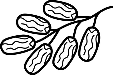 handrawn illustration of Kurma outline style and recolorable