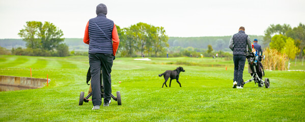 People are playing golf, walking over grass field during golfing game, course. They carry bag with equipment or pull cart, trolley.