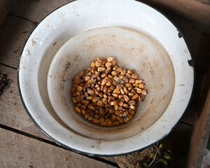 Dried Corn Kernels in Nested Enamel Bowls on Wood