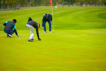 People are playing golf, grass field during golfing game, course. Focused golfer is picturesque golf course, aiming to putt near, hitting ball into hole, concentration and precision.