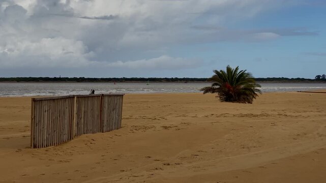Lonely palm tree stands on a vast sandy beach under changing clouds, framed by dunes, sea and wooden structures