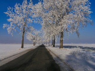 Winter of 2006 in the vicinity of Sleza in Lower Silesia, Poland.