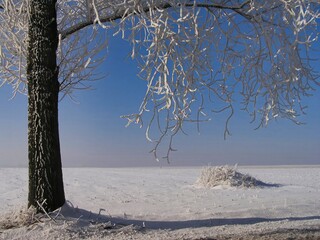 Winter of 2006 in the vicinity of Sleza in Lower Silesia, Poland.