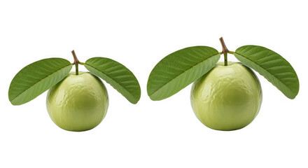 Fresh green guavas with leaves isolated on a transparent background