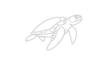 Simple Line Drawing of a Sea Turtle Swimming Gracefully. © ayana