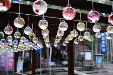 宮崎県小林市の霧島岑神社のハーバリウム