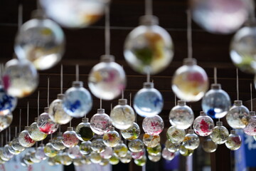 宮崎県小林市の霧島岑神社のハーバリウム