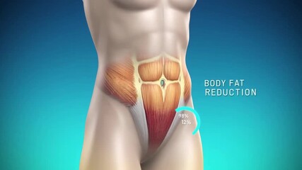 Understanding body fat reduction methods and their effectiveness in fitness