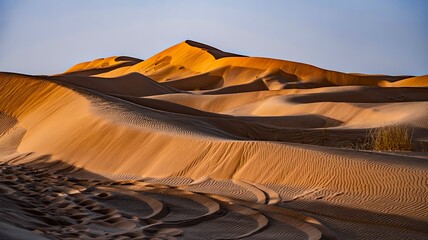 Golden sand dunes desert landscape under warm sunlight
